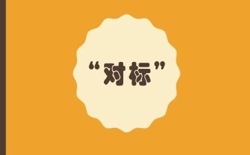 对标工作总结及计划最新7篇