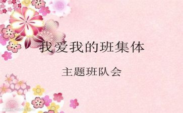 小学队会活动总结6篇