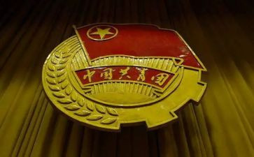 对团的心得体会作文7篇