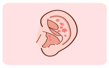 耳鼻喉的出科自我鉴定5篇