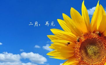 大班二月工作总结8篇