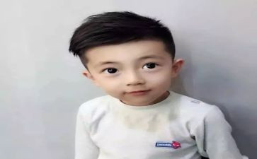 我的儿子叫皮卡读后感5篇