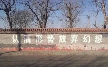 放读后感的作文500字7篇