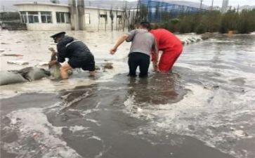 防汛科工作计划6篇