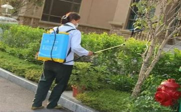 防治典缺乏日活动总结8篇