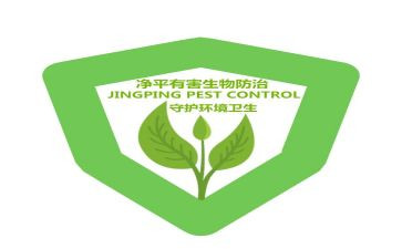 防治噪声污染工作总结6篇
