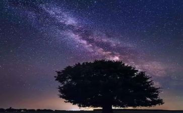 四上繁星读后感优质5篇