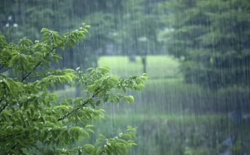 风雨晴作文参考7篇