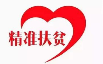 局扶分工作总结参考8篇