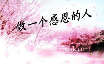 感恩的老师的作文精选5篇