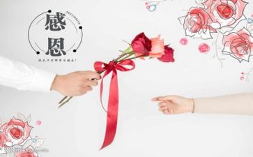 感恩老师作文优质6篇