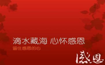 写老师的感恩作文推荐6篇