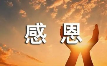 感恩倍作文6篇