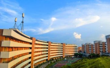 高校教师年终述职报告5篇