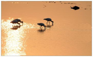 一分耕耘,一分收获演讲稿6篇