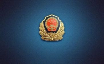 公安年终总结个人总结7篇