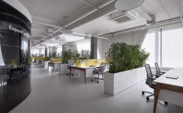 公司半年度个人总结优质8篇
