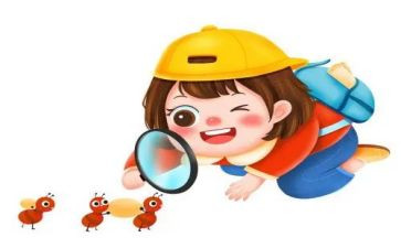 观察后作文推荐5篇