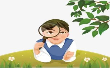 观察蚂蚁的作文600字5篇