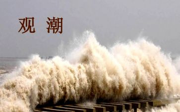 观潮优秀教案优质5篇
