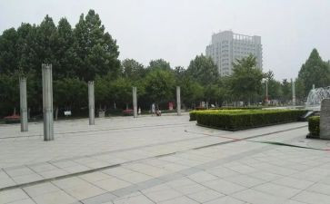 村广场队活动总结5篇