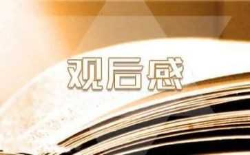 英雄儿女观后感400字5篇