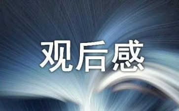 老师好观后感最新5篇