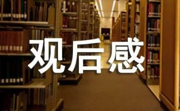 我和我的观后感通用7篇