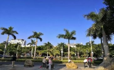 游鼓浪屿作文600字推荐5篇
