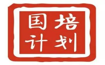 国培计划的培训总结模板5篇