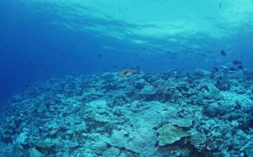 海底两万里读后感700字作文8篇