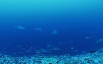 读海底两万里的心得体会5篇