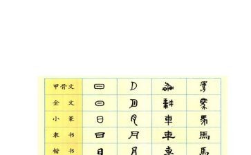 读我们的汉字读后感6篇