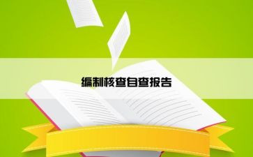 核查岗工作总结7篇