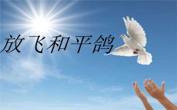 战争与和平心得8篇