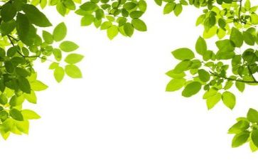 写环保的心得体会模板6篇