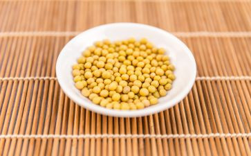 黄豆发芽的作文6篇