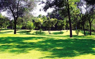 环境报告调查报告最新6篇