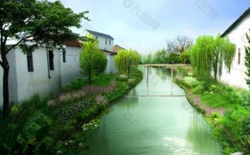 环境的作文800字8篇