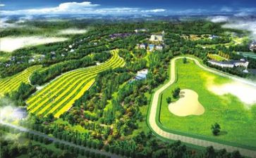 环境报告与调查报告最新5篇