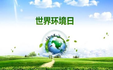 6.5环境日工作总结7篇
