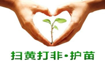 护苗心得体会通用7篇