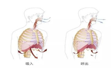 呼吸内科自我鉴定8篇