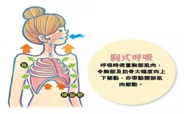 呼吸科的自我鉴定精选7篇