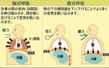 呼吸内科个人述职报告7篇