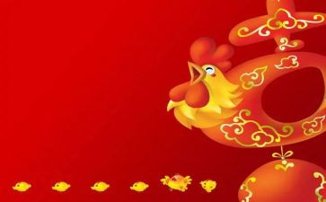 中班小小鸡教案反思5篇