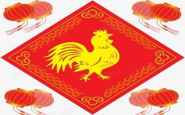 关于鸡的教案参考5篇