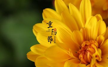重阳佳节演讲稿5篇