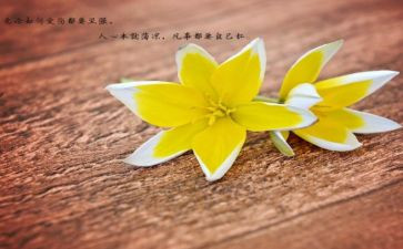 将心比心,作文模板8篇