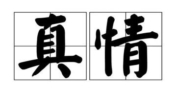他真情作文精选5篇